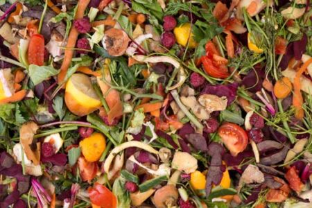 A Roundup of Food Waste Solutions Image